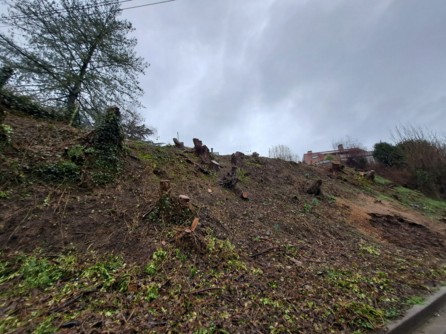 Terrain Mont Saint Aignan 505 m2