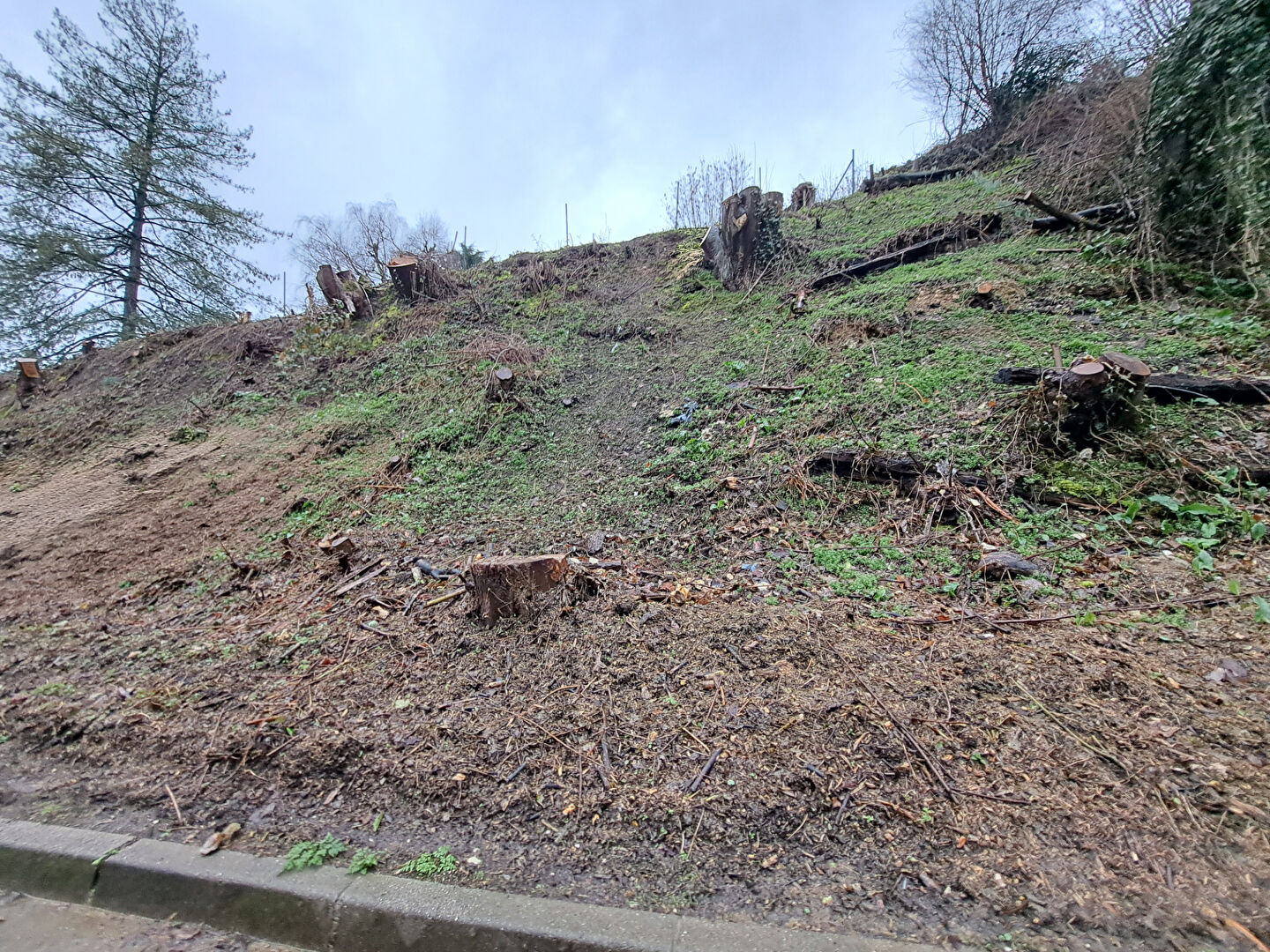 Terrain Mont Saint Aignan 505 m2