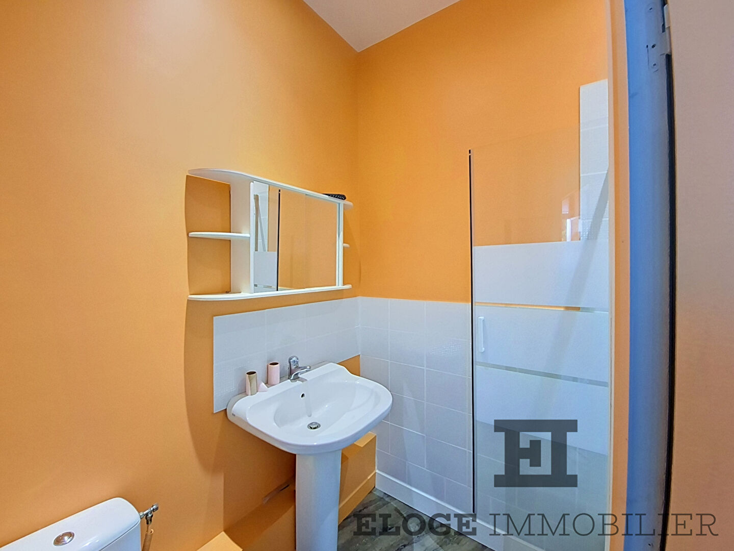 Appartement avec terrasse et grenier aménageable