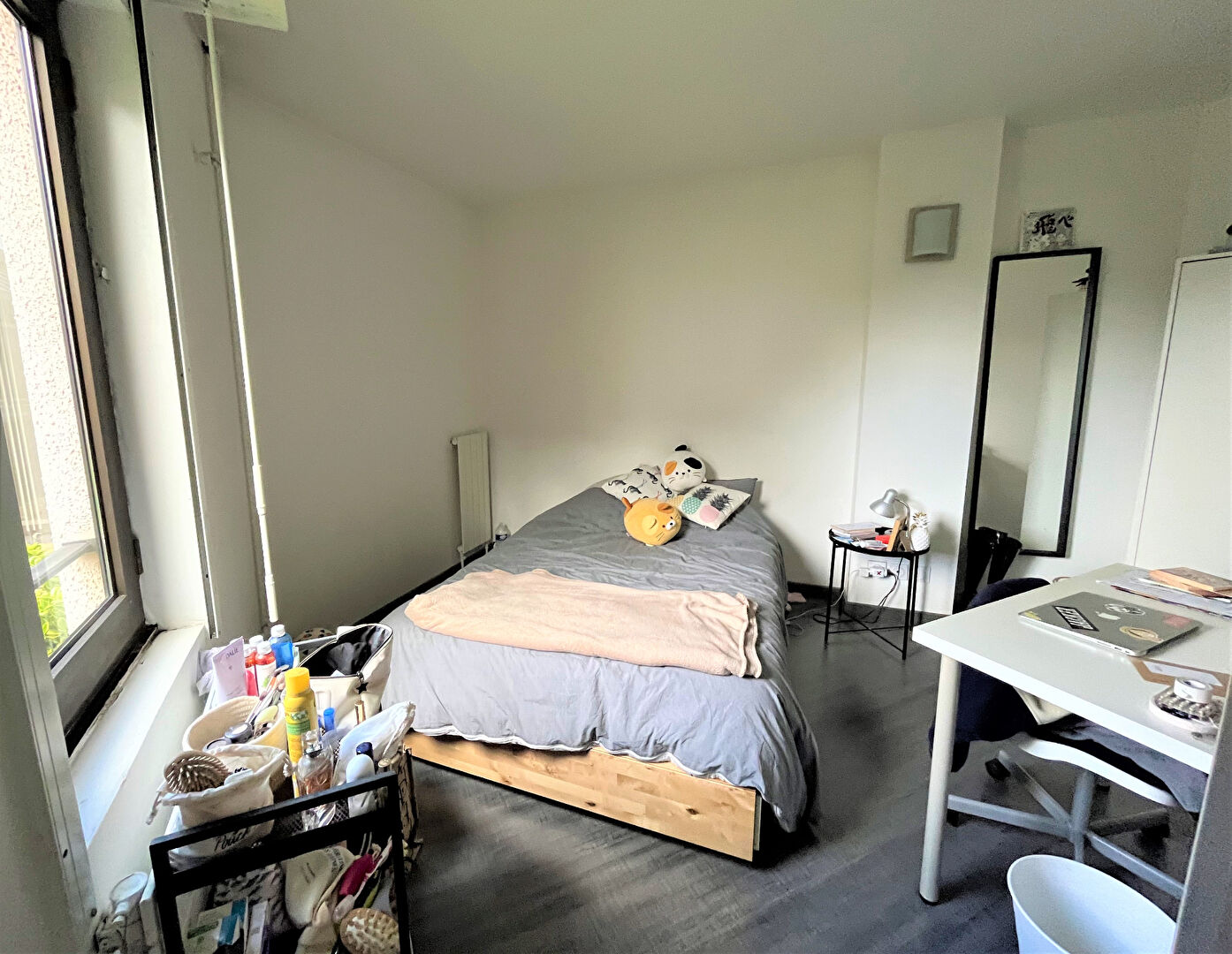 Appartement 3 pièces de 53 m2 - Rouen droite - Secteur Gare