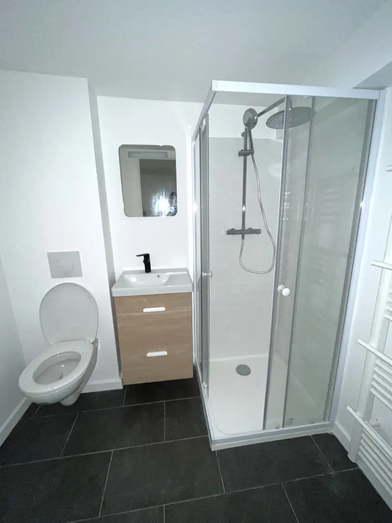 Appartement 2 pièces de 42m² refait à neuf - Rouen droite - Secteur Gare